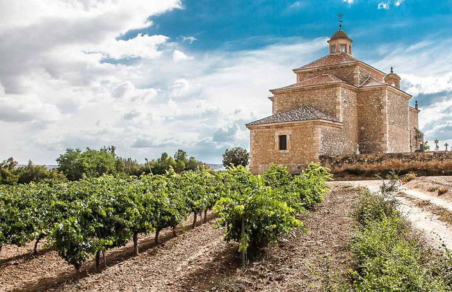 Dominio Lubiano Winery Tour - Photo 3