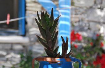 Chaniotis Studios - Foto 51