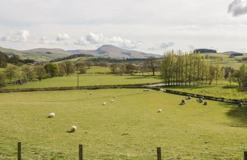 Cyffdy Cottage - Tegid - Foto 26
