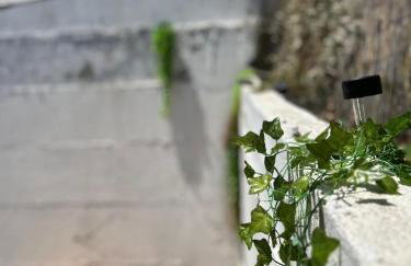 Sofia's House - Foto 1