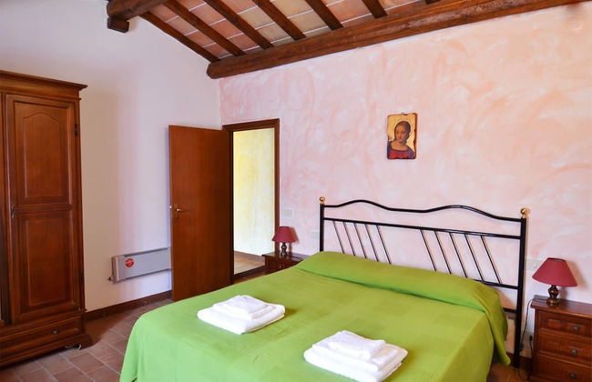 Bellavista farm of Quercini Maurizio - Foto 4