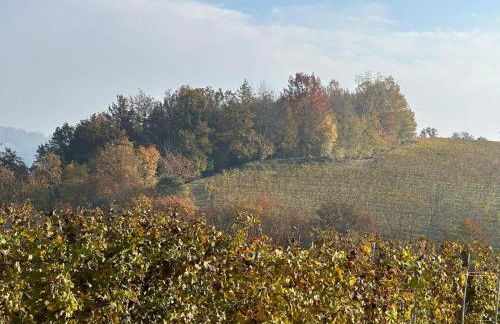 Cascina Boschetti - Foto 11