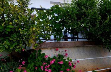 Apartment Marija Marina - Photo 2