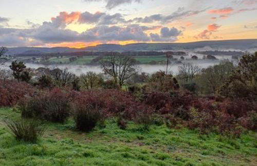 Canad Adar - Song of the Birds - Teifi Valley - Foto 44