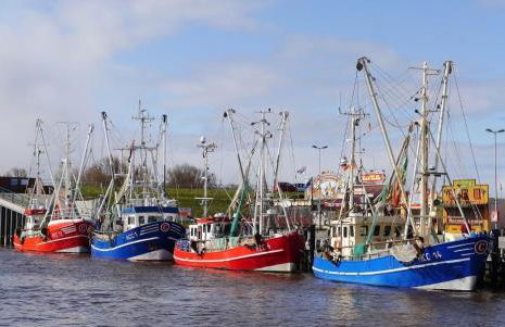 Küstenperle Nordsee mit Balkon und Sauna - Foto 19