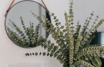 Eva Recommends Capilla de la Jura en Jerez - Foto 45