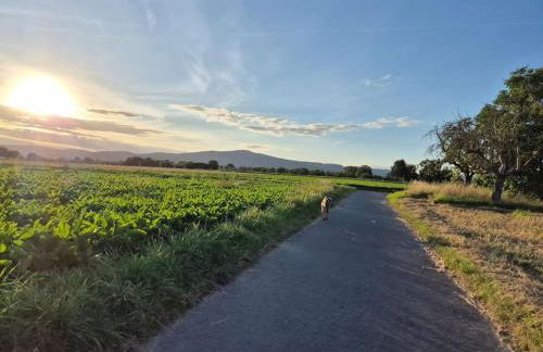 Bungalow, Uneinsehbar, 8 Personen maximal, 3 Personen oben, 5 unten - Foto 33