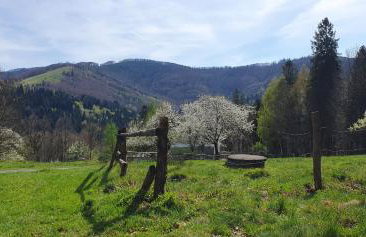 Apartamenty Marii Kawik - Foto 40