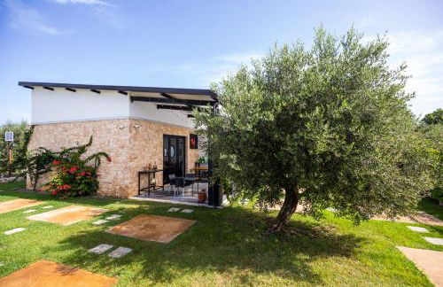 Gallo Fino - Foto 14