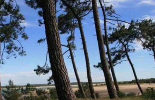 La Marinière, 3chb, à 500m de la mer - St Denis Oléron - Foto 16