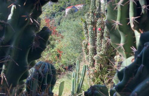 Villa Marisari - Foto 47