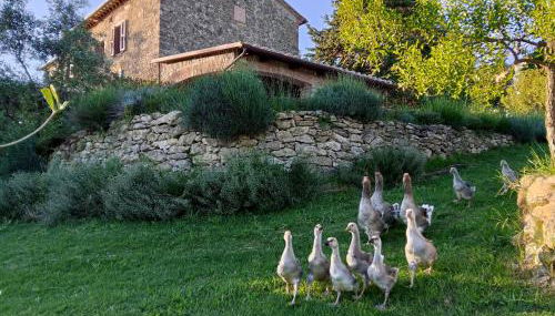 La Nocciolaia - Foto 3