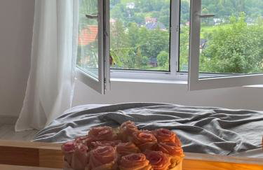 Cerla Korbielów - Domek dla Dwojga - Foto 50