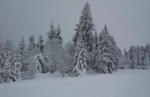 Maison proche du centre de Colmar - Chez Michel - Foto 22