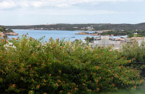 NG Collection gli Oleandri - Foto 8