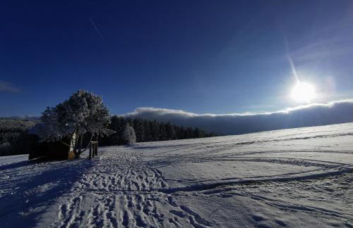 Berghaus am Felsbruch Oberwiesenthal OT Hammerunterwiesenthal - Foto 20