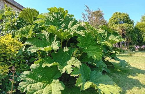 Le Manoir de KEROFIL - Foto 22