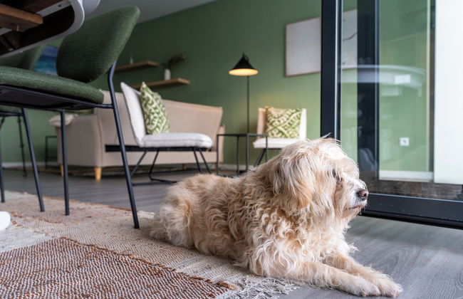 Feel Discovery Casa D'Alice - Foto 21