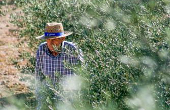 La Choza de Trasmulas - Foto 28