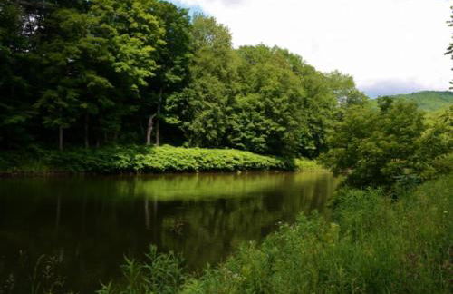 Historic Charm Located On the River - Rustic Chic - Foto 24