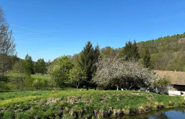 Dom Pod Dębem Agroturystyka - Foto 57