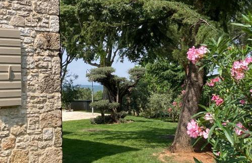Villa Oliva Istria - Foto 44