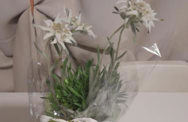 Calicanto Home - Foto 29