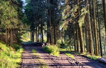 Ferienhaus Schulte - Villa Jupp und Apartment Liesl - Foto 38