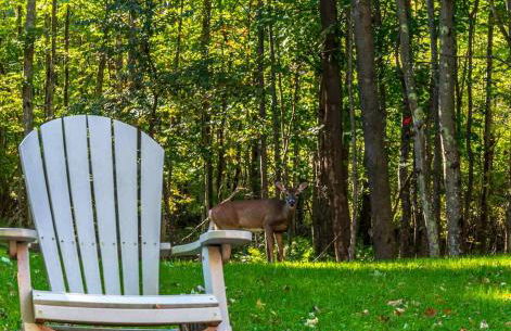 Retro Retreat Charming Home with Hot Tub & Fire Pit - Foto 18