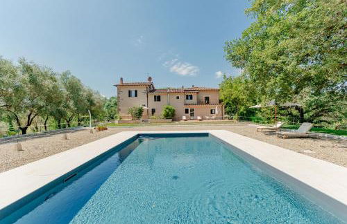 Tenuta Alela - Photo 5