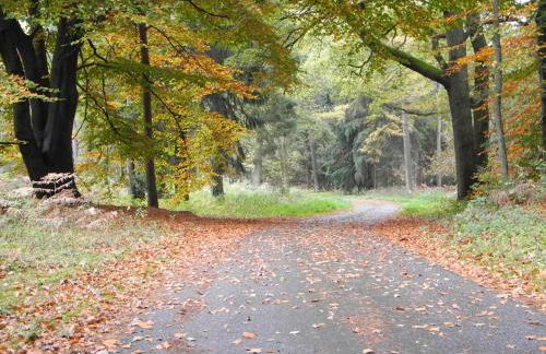 Ferienwohnung Meyenburg - Foto 20
