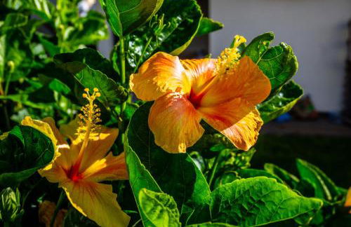 Apartamento Domingos - Photo 17