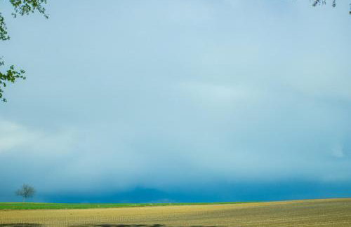 Dom w Jaśminach - Foto 9