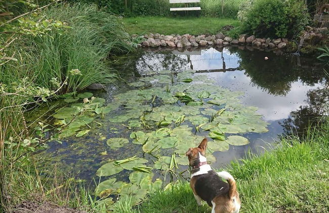 Coastal View of East Frisia - Foto 24