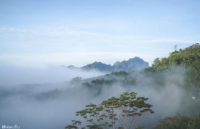 Caligo Resort - Foto 26