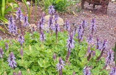 Madeira Protea Retreat- Villa with Heated Private Pool, Gym and Office - Foto 41