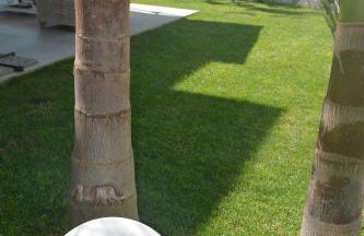 Villa Elisabetta - Foto 12