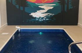 Dollywood Retreat Heated Pool Close to Parkway - Foto 58