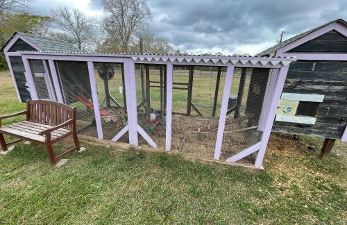 Country Oasis B - Foto 24