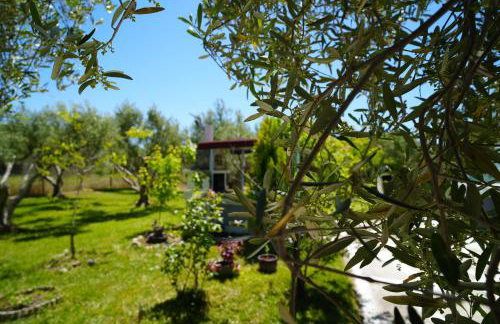 Dream in Chalkidiki 2 bedroom villa with garden - Foto 76