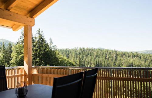 Chalet Zeitlos - Bodenmais - Foto 16