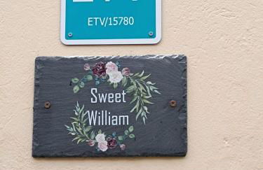 Sweet William - Foto 3