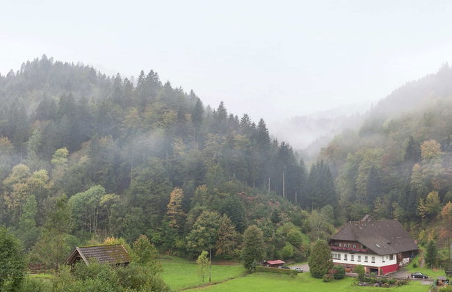 Hideaway Near Black Forest - Foto 18