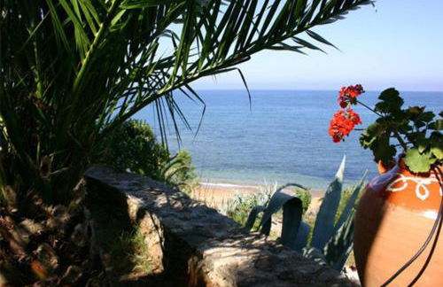 Dionisis Apartments - Photo 52