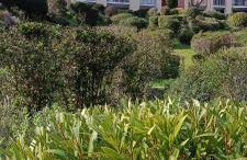 CAP ESTEREL VILLAGE VACANCES T2 vue mer AGAY - Foto 8