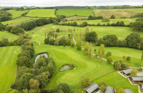 Chestnut, 6 Fingle Glen Lodges - Hot Tub - Free Parking & WiFi - Pets - Foto 33