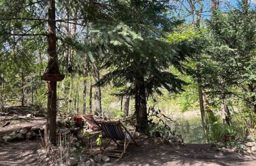 WaldFloß am Silbersee - Nature Pure Life! - Foto 13