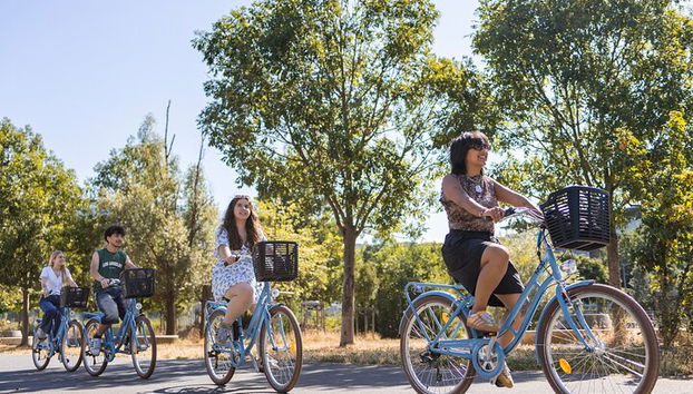 City bike tour by ComhiC - The Highlights - 3h - Photo 4