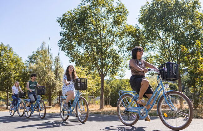 Tour della città in bicicletta con ComhiC - I punti salienti - 3h - Foto 4