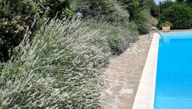 Podere Gli Oppi Toscana - Foto 4, Garden